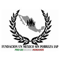 Logo msinp