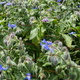  dsc8259